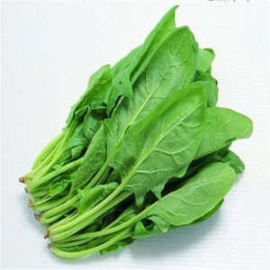 Besan Palak Gatta Sabzi